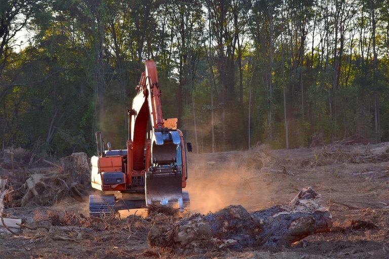 Amazonie : en 2023, la déforestation diminuée de moitié au détriment de la savane du Cerrado