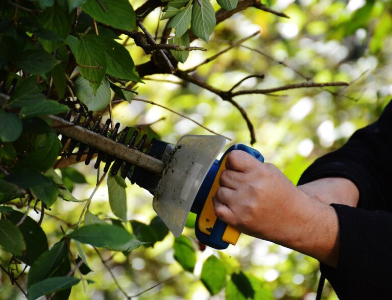 Valorisation du bois de haies : une opportunité pour les agriculteurs bretons