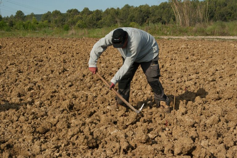 La FNSEA : 80 ans en faveur des agriculteurs