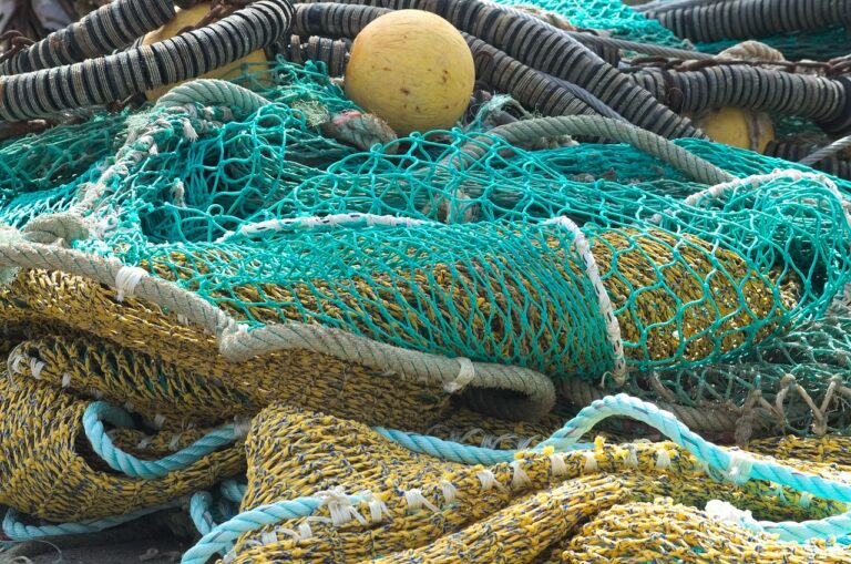 Manifestation à Saint-Malo contre le chalutier « Monstrueux » : pêcheurs et écologistes unis