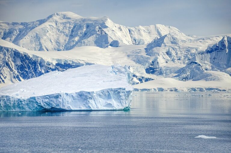 Exploration des profondeurs de l’Antarctique: un voyage fascinant dans le monde sous-marin