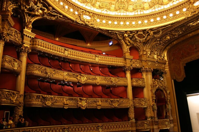 Coupes budgétaires : l’Opéra de Paris et plusieurs institutions culturelles affectées