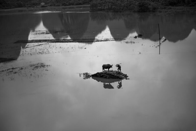 Catastrophes climatiques meurtières : l’Asie est la région du monde la plus impactée