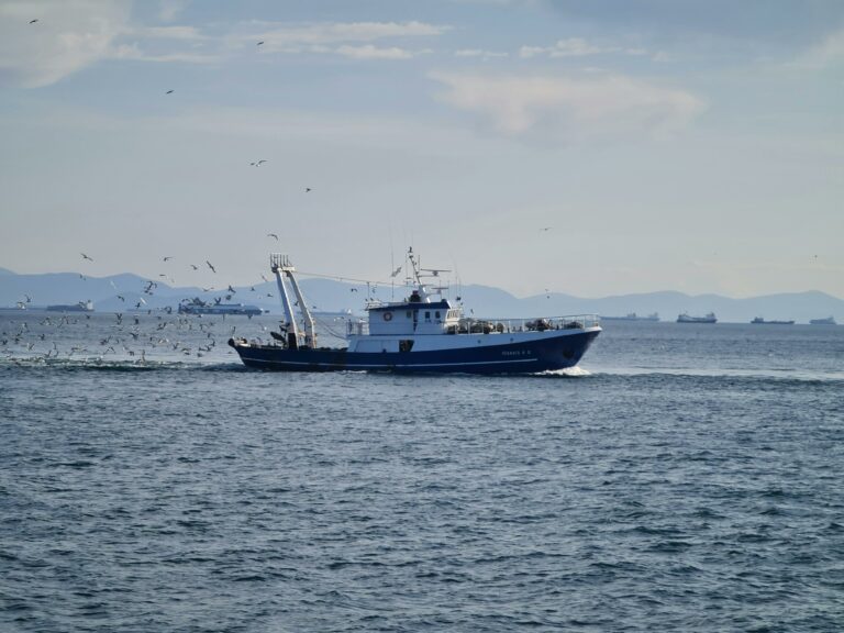 Pêche industrielle : une menace pour la mer du Nord