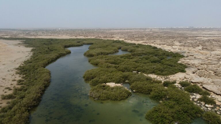 Modélisation hydrogéologique : Prévoir les sécheresses et inondations