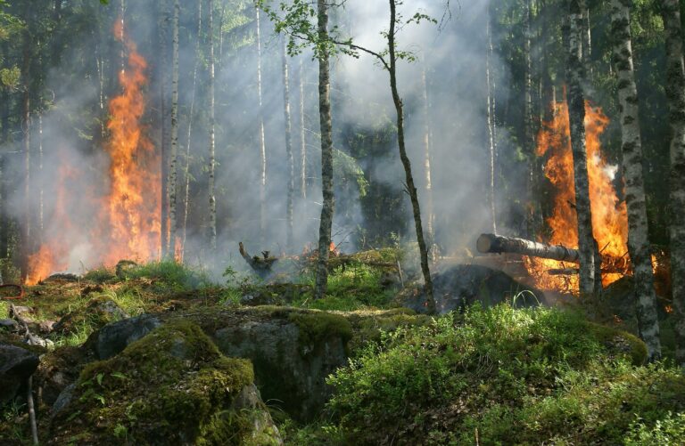 Californie du Sud : les incendies s’intensifient